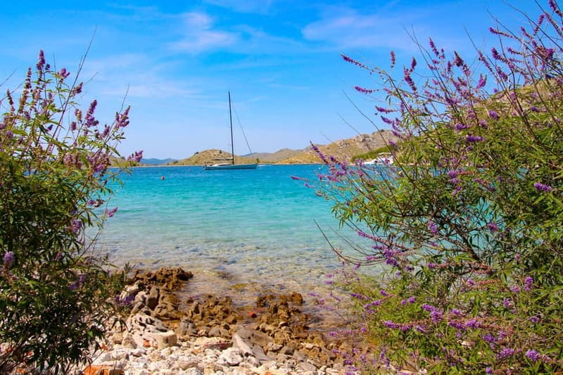 Zadar: Island Hopping Boat Tour with Snorkeling - Guides like Gogo, Tony, and the Luka and Mimi duo matter